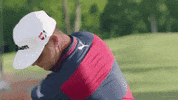 Wilsonstaff Garywoodland GIF by Wilson Golf