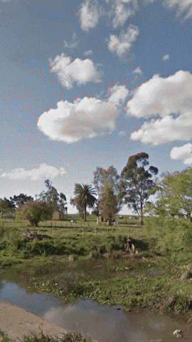 Simongip giphyupload GIF