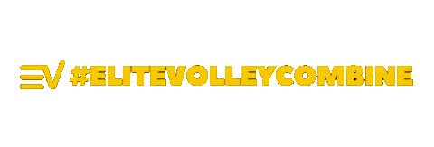 Elite Sticker by EliteVolley.com