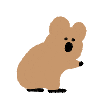 Emoji Quokka Sticker by Dinotaeng