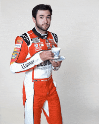 llumar drink racing tea nascar GIF