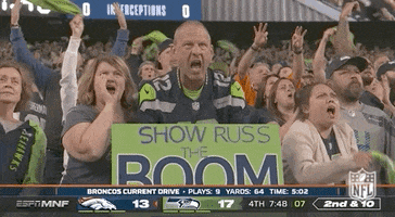 Seattle Seahawks Football GIF by NFL