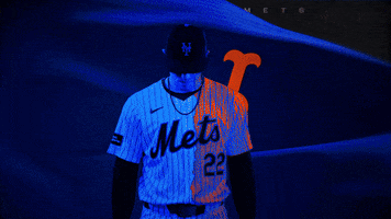 Baseball Mlb GIF by New York Mets