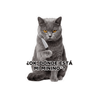 Seguroesporminino Sticker by Minino Plus®