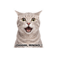 Seguroesporminino Sticker by Minino Plus®
