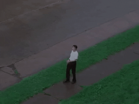 Shit Show GIF by Peter McPoland