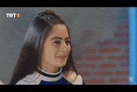 Sinan Karayaman GIF
