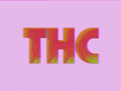 Art Glitch GIF
