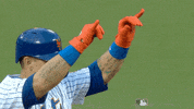 Celebrate Ny Mets GIF by New York Mets