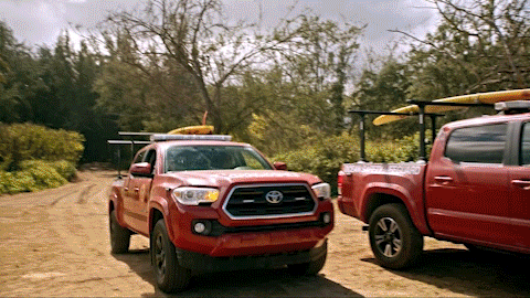 Ready GIF by FOX TV