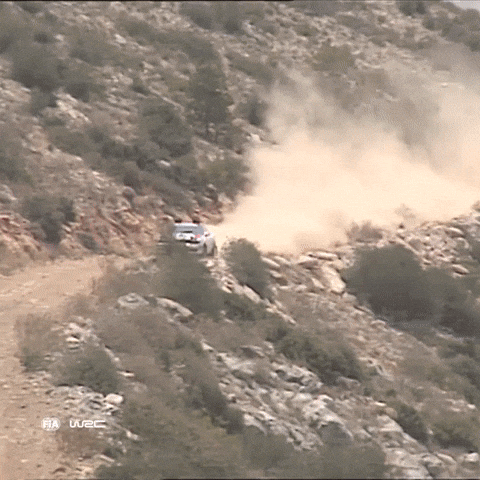 Drifting Fast Car GIF by FIA World Rally Championship