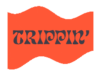 usyeverywhere usy uscj epic2022 epicisrael Sticker