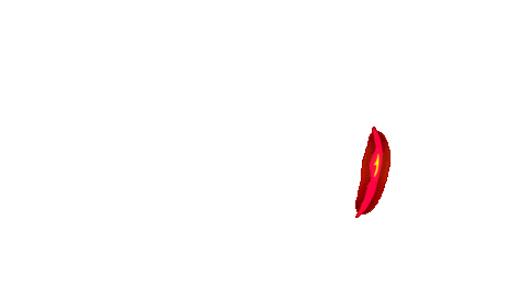 Logo Fire Sticker by HC Oceláři Třinec