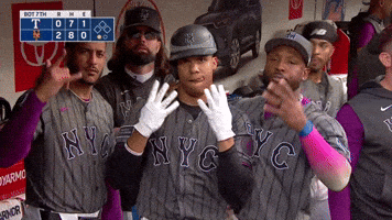 New York Mets Sport GIF by MLB