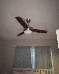 Mr Deeds Lol GIF by Respective