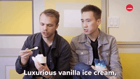 Luxurious Vanilla Ice Cream