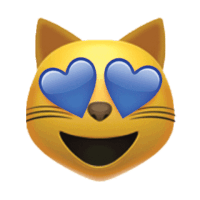 Cat Love Sticker by University of Kentucky