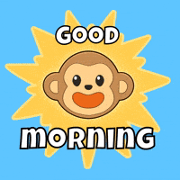 Happy Good Day GIF by Wise Monkey Meme