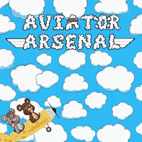 Nft Flying GIF