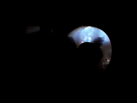 Art Glitch GIF