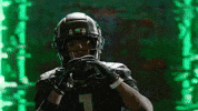 Oregon Football GIF by GoDucks