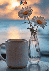 Flores Buenos Dias GIF by Murcianys LLC