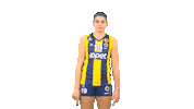 Volleyball Sticker by Fenerbahçe Voleybol
