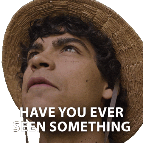 One Piece GIF by NETFLIX
