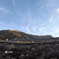 Sport Rallying GIF by FIA World Rally Championship