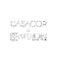 organne_oficial vaso luxo casacor vietnamita Sticker