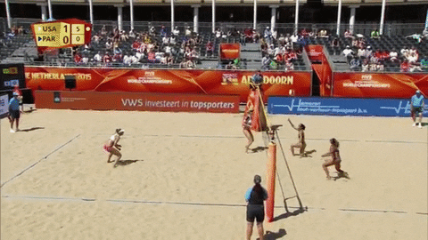 april ross volleyball GIF