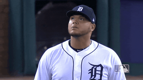 Major League Baseball Reaction GIF by Detroit Tigers