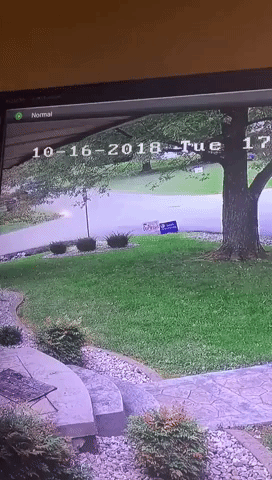 Thief Arrested After Stealing Package From Kentucky Police Chief's Porch