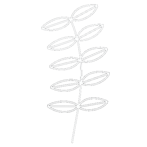 Leaf Leaves Sticker