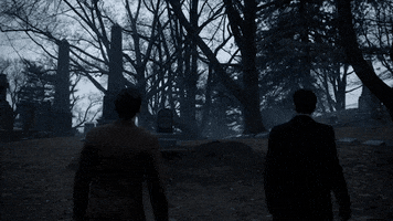 Dc Comics Fox GIF by Gotham