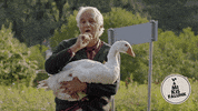 Duck Pali GIF by RTL Magyarország