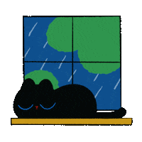 minayuyu cat cats rain lightning Sticker