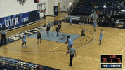 women's basketball GIF by BJU Bruins