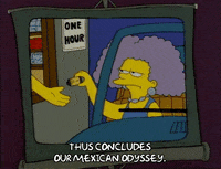 Season 1 GIF by The Simpsons