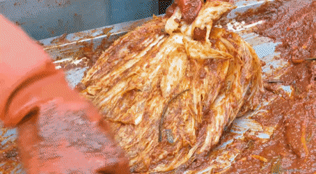 jseinyyi giphyupload GIF