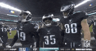 2019 Nfl Football GIF by NFL