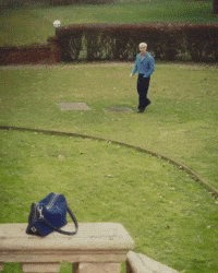 Skz Straykids GIF