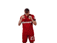 Bayer 04 Deal With It Sticker by Bayer 04 Leverkusen