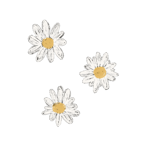 Summer Beauty Sticker