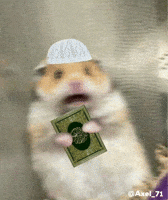 Hamster Islam GIF