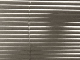 Anybody GIF