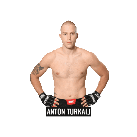 Mixed Martial Arts Mma Sticker by BRAVE Combat Federation