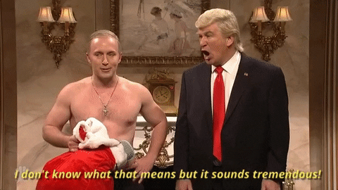 I Dont Know What That Means But It Sounds Tremendous Donald Trump GIF by Saturday Night Live