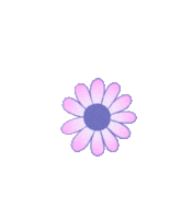 Tom Grennan Flower Sticker by Calvin Harris
