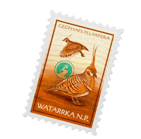 NortherHQ bird australia stamp reptile Sticker